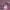 https://res.cloudinary.com/billionhands/image/upload/v1780533816/items/wxwikgpy0huffwxb6htf.jpg-3cover