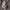 https://res.cloudinary.com/billionhands/image/upload/v1780533909/items/vwvgxyb4syklegqoe3mz.jpg-1cover
