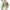 Palutena cover
