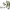 https://res.cloudinary.com/billionhands/image/upload/v1780535013/items/ncm3jz2gyve1y3w54u6s.png-2cover