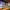 https://res.cloudinary.com/billionhands/image/upload/v1780536284/items/yuds5glg3fxkmmhkdtla.jpg-2cover
