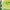 https://res.cloudinary.com/billionhands/image/upload/v1780536551/items/wnaged6ikpzguyzpew3l.webp-2cover