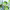 Crema de Guisantes con Menta (THE COOK Cocina casera gourmet) cover