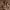 https://res.cloudinary.com/billionhands/image/upload/v1780536657/items/pfcrbqle6khkbsoq5htv.webp-2cover