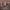 https://res.cloudinary.com/billionhands/image/upload/v1780536675/items/lgggsspzrguuwwgdtluz.jpg-2cover