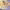 https://res.cloudinary.com/billionhands/image/upload/v1780536955/items/r3qk2y93tlgnitba1csm.jpg-3cover