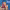 https://res.cloudinary.com/billionhands/image/upload/v1780537002/items/zgtks1svs2av8sfz0jya.jpg-1cover