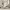 https://res.cloudinary.com/billionhands/image/upload/v1780537369/items/pmv67ovsfa0qqysp3cvq.webp-2cover