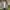 https://res.cloudinary.com/billionhands/image/upload/v1780537394/items/gfejmnmk918cghjib1no.jpg-1cover