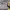 https://res.cloudinary.com/billionhands/image/upload/v1780538592/items/mdkp5gi7uh1ofuoeyfqy.jpg-2cover