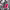 https://res.cloudinary.com/billionhands/image/upload/v1780538600/items/hz5xtiip3rsbqyukwwsq.avif-3cover