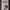 https://res.cloudinary.com/billionhands/image/upload/v1780540913/items/diadmkhl6iskpcfzkt1h.webp-2cover