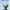 https://res.cloudinary.com/billionhands/image/upload/v1780540915/items/hdl0r2aazgmmmg18kvbx.jpg-2cover