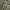 https://res.cloudinary.com/billionhands/image/upload/v1780541575/items/zae3iap2ejzp4vhzrhvm.jpg-2cover