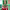 https://res.cloudinary.com/billionhands/image/upload/v1780541658/items/auafvomlzlqyibolnmdj.jpg-3cover