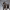 https://res.cloudinary.com/billionhands/image/upload/v1780541925/items/pj8qgnsnshthr0dnng4m.webp-3cover