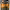 https://res.cloudinary.com/billionhands/image/upload/v1780542327/items/aetldtxdjb4phsju2lnq.png-1cover
