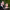 Amanda Seyfried and Thomas Sadoski's Wedding cover