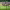 https://res.cloudinary.com/billionhands/image/upload/v1780544445/items/zp2bnbkurkhgcsshprmm.jpg-0cover