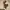 https://res.cloudinary.com/billionhands/image/upload/v1780544501/items/yzxy4pck9d33j96ar2k8.webp-1cover