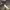 https://res.cloudinary.com/billionhands/image/upload/v1780544927/items/ecjg3wlwfltbinywchx1.webp-3cover