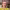 https://res.cloudinary.com/billionhands/image/upload/v1780545183/items/p0xfa3vicjm8xvchlukw.webp-1cover