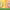 https://res.cloudinary.com/billionhands/image/upload/v1780545644/items/kjlwebvmckavacvyyntv.webp-0cover