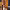 https://res.cloudinary.com/billionhands/image/upload/v1780546094/items/dstdffkzhgyuandpldcf.webp-0cover