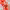 https://res.cloudinary.com/billionhands/image/upload/v1780547370/items/enyzsaqzbu1wprdcfw07.jpg-2cover