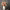 https://res.cloudinary.com/billionhands/image/upload/v1780548037/items/lyetufhmdiul2nxjeiul.jpg-1cover