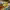 https://res.cloudinary.com/billionhands/image/upload/v1780548520/items/zbvlzonyveplulkojka5.jpg-0cover