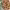 https://res.cloudinary.com/billionhands/image/upload/v1780548599/items/hkutr0ggkc6ikv2m9ie9.jpg-2cover