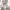 https://res.cloudinary.com/billionhands/image/upload/v1780548657/items/nmwwknjlsuvld9un7fp3.png-3cover