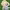 https://res.cloudinary.com/billionhands/image/upload/v1780549389/items/e4vkmm1zjepqqjvksrbu.avif-0cover
