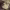 The Death of Erwin Smith cover