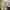 https://res.cloudinary.com/billionhands/image/upload/v1780550087/items/htn8rwgta5ssr1m9duth.jpg-2cover