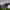 https://res.cloudinary.com/billionhands/image/upload/v1780552161/items/iskccgjakaxcz3bm1u7l.jpg-0cover