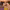 https://res.cloudinary.com/billionhands/image/upload/v1780555051/items/uz861qwxbnftrgrxw49g.jpg-0cover