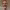 https://res.cloudinary.com/billionhands/image/upload/v1780555345/items/kxpx8dikm0ytfmm19glz.jpg-1cover