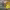 https://res.cloudinary.com/billionhands/image/upload/v1780559252/items/qcew1vmhmnvpaprhjgbe.webp-2cover