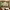 https://res.cloudinary.com/billionhands/image/upload/v1780561082/items/z9rbfuk5eiuoh0pmbygz.avif-0cover