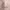 https://res.cloudinary.com/billionhands/image/upload/v1780565446/items/bhrc51opjqevlxmcxbxx.webp-0cover