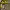https://res.cloudinary.com/billionhands/image/upload/v1780568258/items/shrvdngp6mhs2xyyr35r.jpg-1cover