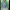 Kevin De Bruyne (FIFA Ultimate Team) cover