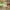 https://res.cloudinary.com/billionhands/image/upload/v1780572136/items/aekvljmocjdupeggeft5.webp-2cover