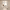 https://res.cloudinary.com/billionhands/image/upload/v1780579364/items/dbtpmhfeobxa6vq5aqer.webp-0cover