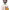 https://res.cloudinary.com/billionhands/image/upload/v1780579384/items/l3yps7eqezm7sqrxrnsz.png-0cover