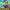 https://res.cloudinary.com/billionhands/image/upload/v1780579388/items/ona2ripp34zr9ow4ip3a.jpg-2cover