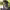 https://res.cloudinary.com/billionhands/image/upload/v1780580104/items/t5urluvwmuj6idx84ct8.avif-1cover