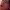https://res.cloudinary.com/billionhands/image/upload/v1780580366/items/i3l0o6yxwf59vvag0ris.jpg-2cover